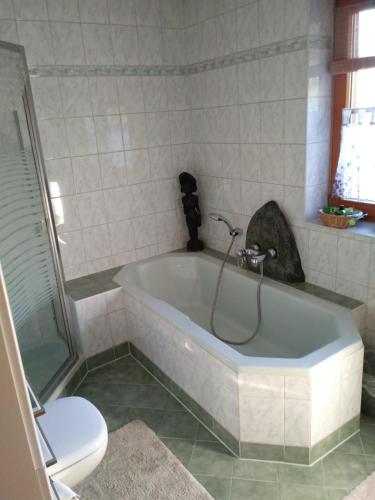 a bathroom with a bath tub and a toilet at Zeit-/Los Quilk in Aigen im Ennstal