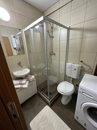 a bathroom with a shower and a toilet and a sink at ANKA APARTMENT in Štip
