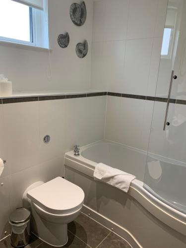 a bathroom with a toilet and a bath tub at The Apartment Boscawen Woods in Truro