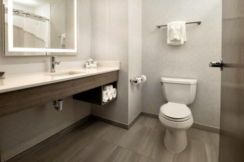 een badkamer met een toilet, een wastafel en een spiegel bij Holiday Inn Express Hotel & Suites Festus-South St. Louis, an IHG Hotel in Festus