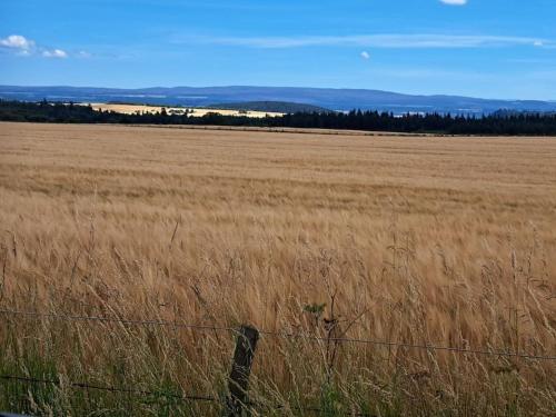 a fence in front of a field of tall grass at Little Slioch Cottage- A Break From City Life in Avoch