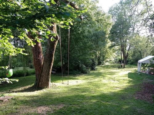 a hammock hanging from a tree in a park at Le gîte de l'AA in Renty
