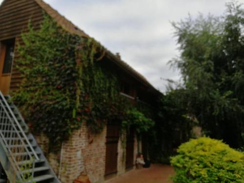 a building with ivy on the side of it at Le gîte de l'AA in Renty