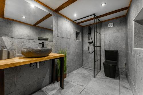a bathroom with a stone sink and a shower at Wellness chata Sloupnice in Sloupnitz