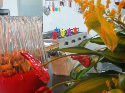 a kitchen with a stove and a vase with a flower at Oasis Tajaja Pousada in Jacumã