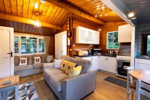 Ruang duduk di Mountain View Log Cabin - Snowdonia