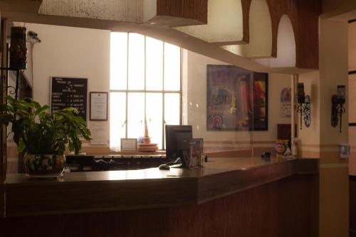 un bar con una maceta en una habitación en OYO Hotel Posada De La Moneda, en Zacatecas