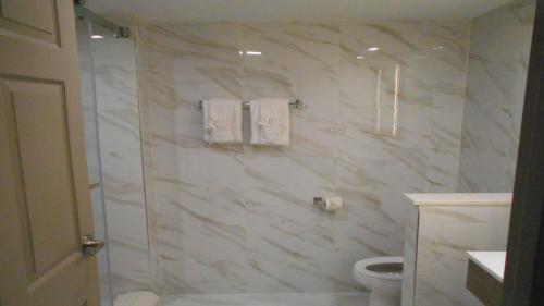 a bathroom with a marble shower with a toilet at Holiday Inn Express St Augustine Dtwn - Historic, an IHG Hotel in St. Augustine