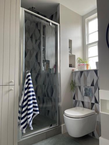 a bathroom with a shower and a toilet at Penguin Flat in London
