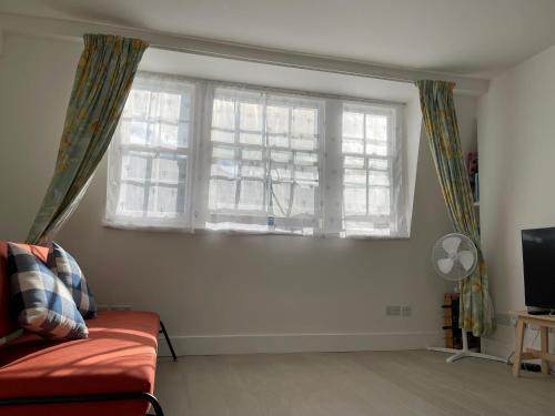 a living room with a couch and a window at Penguin Flat in London