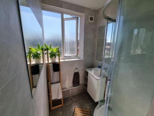 a bathroom with a shower and a sink and a mirror at Lovely 2 bedroom flat in North West London in Hendon