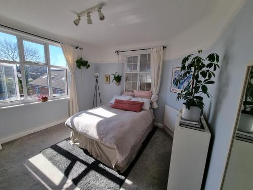 a bedroom with a bed and a potted plant at Lovely 2 bedroom flat in North West London in Hendon