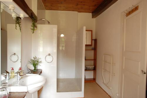 uma casa de banho branca com um lavatório e um chuveiro em A la Vie Douce em Vidouze