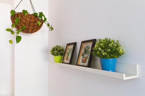Apartamento Palmera