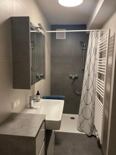 La salle de bains est pourvue d'un lavabo et d'une douche. dans l'établissement Ruhiges Appartement im Grünen, à Graz