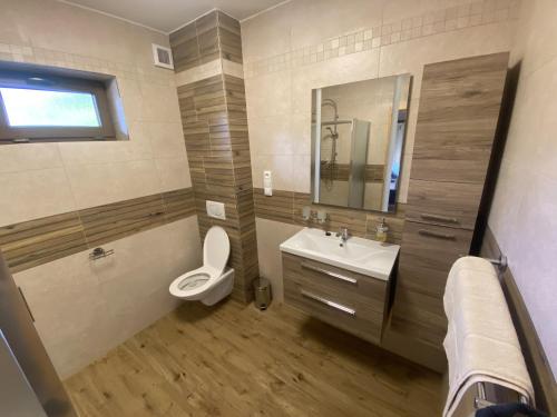 a bathroom with a toilet and a sink and a mirror at Apartmány Pod Kopcem in Bublava