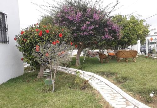 a garden with two trees and a table and chairs at Vivenda Miraflores in Armação de Pêra