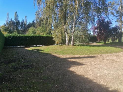a tree in the middle of a grass field at Au regard des biches in Sovet