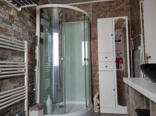 baño con ducha y puerta de cristal en Logement entier agréable et accueillant, en Vaulx-en-Velin