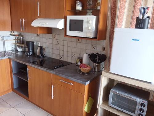 a kitchen with wooden cabinets and a white refrigerator at Le Repaire du Golfeur de la Largue - Mooslargue in Mooslargue