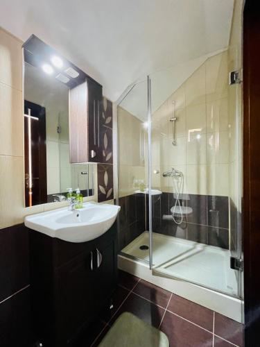 a bathroom with a sink and a shower at Hermesvilla in Baile Felix