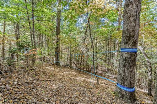 a forest with a blue rope around a tree at Siesta Chalet in Blue Ridge