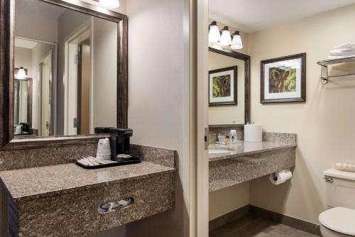 a bathroom with a sink and a toilet and a mirror at Best Western Plus Cedar City in Cedar City