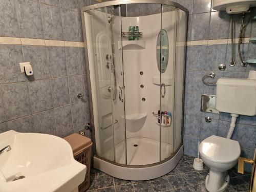a bathroom with a shower and a toilet and a sink at Apartman Lana in Bosanski Novi