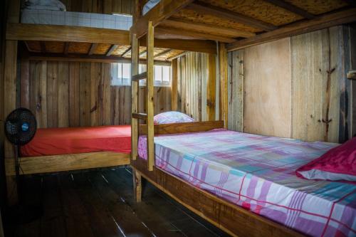 um quarto com 2 beliches num camarote em Hostal On The Sea em Bocas del Toro