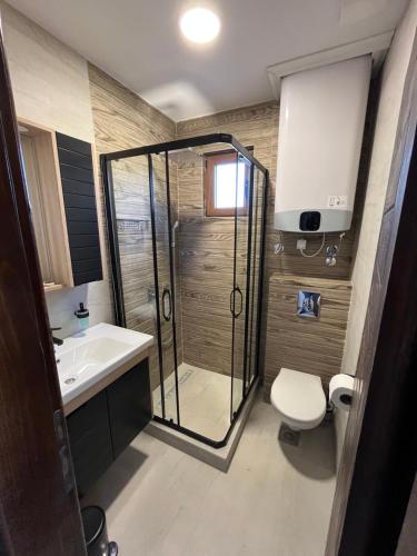 een badkamer met een douche, een toilet en een wastafel bij Bed & Wine Djonovic in Virpazar