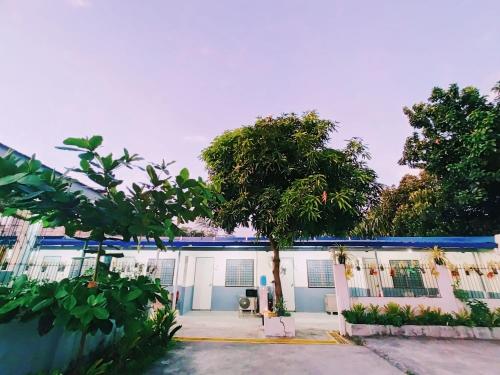 a white building with a tree in front of it at Innskeep in Calingcuan