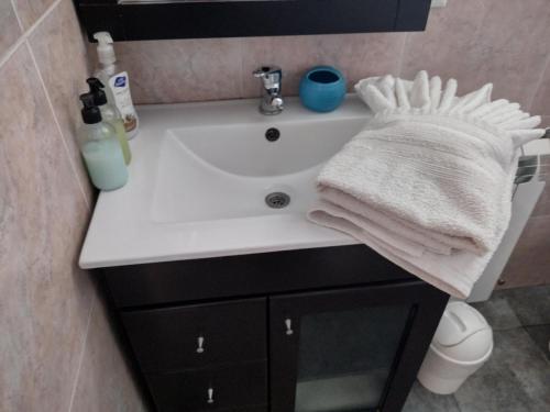lavabo en el baño con toallas en la encimera en Habitación Hemerocallis - Hospedaje Lo De Juan y Mabel en Tandil