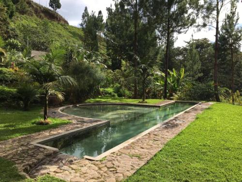 a swimming pool in the middle of a garden at Altares de Oxapampa in Oxapampa