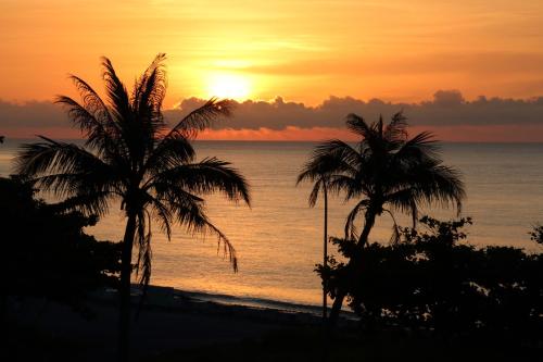 two palm trees on the beach at sunset at Taroko Bay B&B in Xincheng