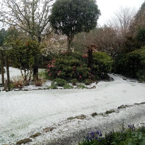a snow covered garden with flowers and bushes at Tahakopa Lodge - Cabin in Tahakopa