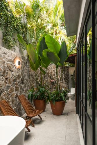 a patio with three potted plants and two benches at San Trópico Boutique Hotel & Peaceful Escape in Puerto Vallarta