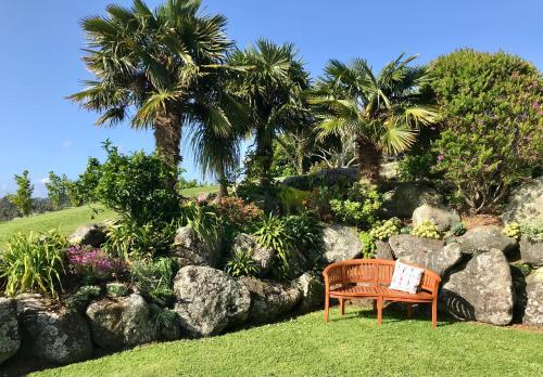 a bench in a garden with palm trees and rocks at Sunset Point Kerikeri in Kerikeri