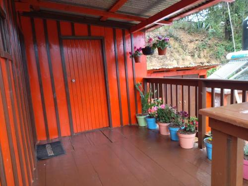 an orange house with potted plants on a porch at Casa del bosque 