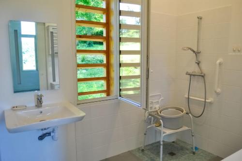 une salle de bain avec un lavabo et une douche dans l'établissement Ancienne séchoir à Tabac idéalement placé à Limeuil pour 4 dans la nature, à Limeuil