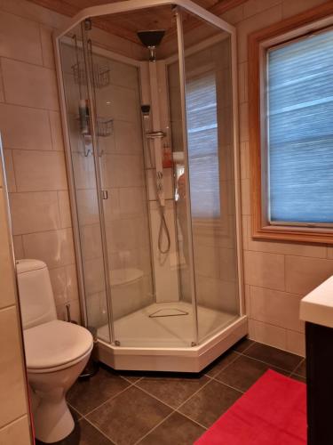 a shower in a bathroom with a toilet and a window at Vrådal Golf Park in Vradal