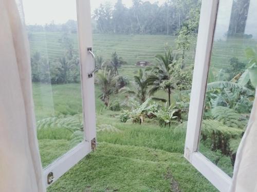 an open window with a view of a field at D'Ume Bendoel Homestay in Jatiluwih