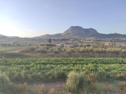 Fotografie z fotogalerie ubytování Akrokorinthos View House v destinaci Kórinthos