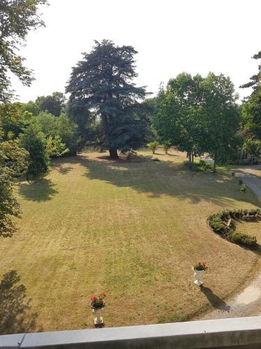 a large field of grass with a tree in the background at Château St Justin in Saint-Justin