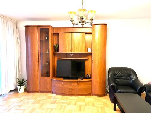 a living room with a large wooden entertainment center with a television at Vintage Bucharest apartment in Bucharest