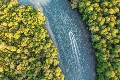 an aerial view of a river with trees and a boat at The Mida Creek Hotel in Watamu