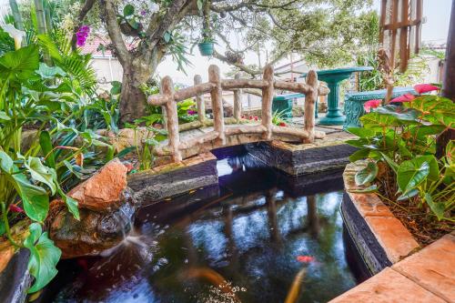 Jardín al aire libre en Villa Le View Guesthouse