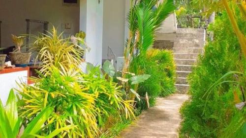 a garden with stairs and plants in front of a house at Pranu House in Nilaveli