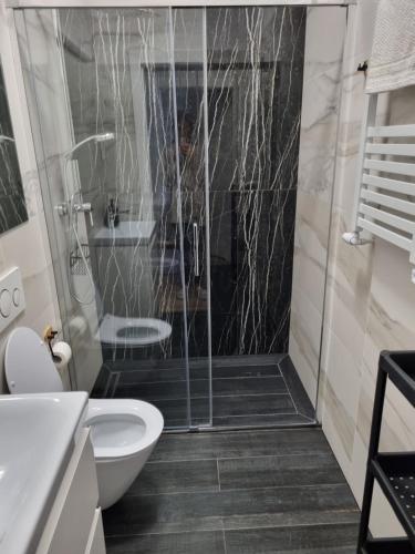 uma casa de banho com um chuveiro, um WC e um lavatório. em Apartament w kamienicy em Poznań