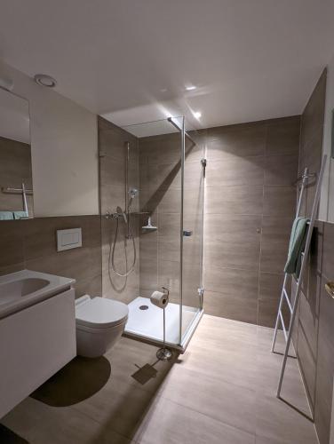 a bathroom with a shower and a toilet and a sink at Domaine de la Crausaz in Grandvaux