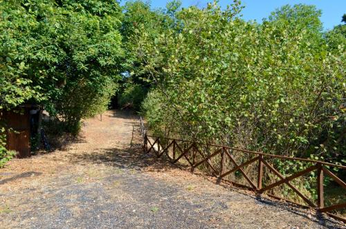 a wooden fence on a dirt road next to trees at L'Infinito Agriturismo - Rooms & Breakfast in SantʼAlfio